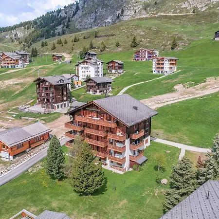 Suedlenz 21